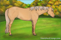 Horse Color:Palomino Dun 