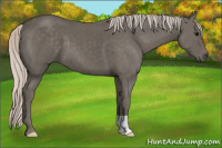 Horse Color:Silver Black