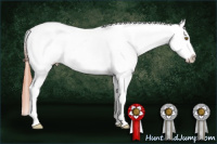 Horse Color:Classic Champagne Dun Sabino Appaloosa 