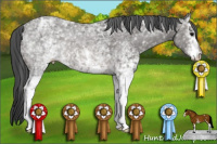 Horse Color:White Spotted Black Ice