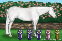 Horse Color:White Spotted Cremello Sabino 