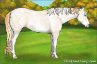 Horse Color:White Spotted Buckskin Pearl Dun Sabino 