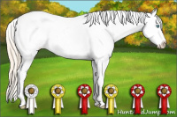 Horse Color:White Spotted Perlino Dun Appaloosa 