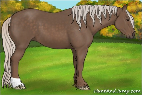 Horse Color: Silver Black 