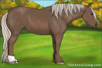 Horse Color:Silver Black 