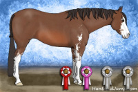 Horse Color:Bay Roan Sabino