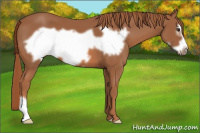 Horse Color:Chestnut Frame