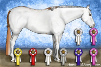 Horse Color:White Spotted Chestnut 