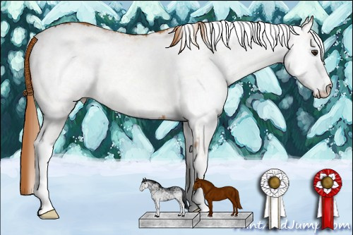 Horse Color: White Spotted Chestnut 