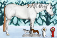Horse Color:White Spotted Chestnut 
