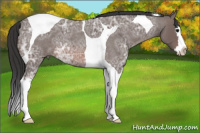 Horse Color:Brown Ice Roan Splash Tobiano