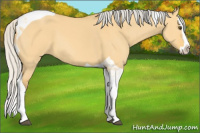 Horse Color:Silver Buckskin Dun Splash Tobiano 