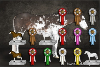 Horse Color:Gray Silver Black Sabino Splash 