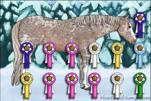 Horse Color: Unknown 
