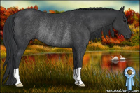 Horse Color:Black Rabicano 