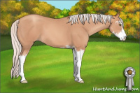 Horse Color:Silver Sable Champagne Sabino 