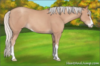 Horse Color:Silver Sable Champagne Sabino 