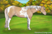 Horse Color:Silver Classic Champagne Tobiano 