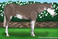 Horse Color:Silver Black Sabino 