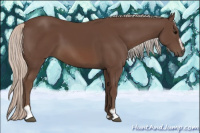 Horse Color:Silver Black Sabino 