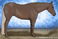 Horse Color:Silver Black Sabino 