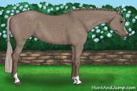 Horse Color:Silver Grullo Sabino