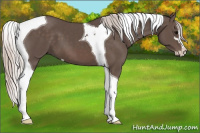 Horse Color:Silver Black Sabino Tobiano 