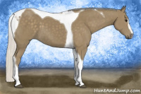 Horse Color:Silver Smoky Black Sabino Tobiano