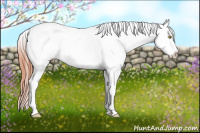 Horse Color:Amber Champagne Near Fewspot 