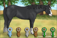 Horse Color:Brown Splash