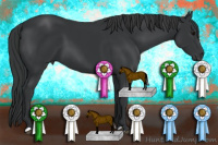 Horse Color:Brown 
