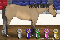 Horse Color:Buckskin Dun 
