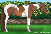Horse Color:Chestnut Tobiano 
