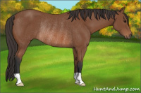 Horse Color:Bay Rabicano 