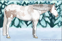 Horse Color:White Spotted Silver Bay Sabino Splash