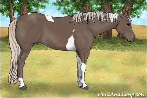 Horse Color: Silver Black Tobiano 