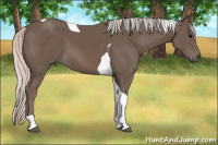 Horse Color:Silver Black Tobiano 