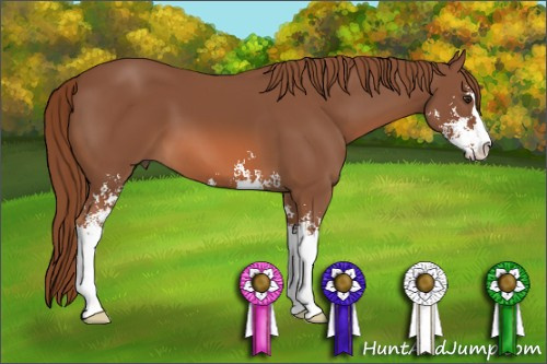 Horse Color: Chestnut Sabino 