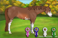 Horse Color:Chestnut Sabino