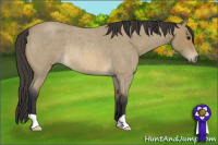 Horse Color:Buckskin Roan Rabicano 