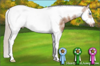 Horse Color:White Spotted Silver Black Splash Tobiano Frame