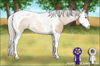 Horse Color:Silver Bay Dun Splash Tobiano 