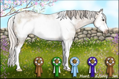 Horse Color: Unknown 