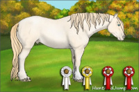 Horse Color:Buckskin Roan Pearl 