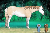 Horse Color:Classic Champagne Pearl Sabino Splash 