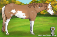 Horse Color:Chestnut Splash Frame 