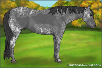 Horse Color:Black Ice 