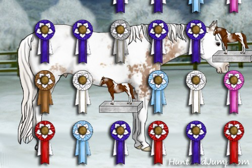 Horse Color: Silver Brown Sabino 