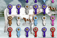 Horse Color:Silver Brown Sabino 