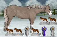 Horse Color:Silver Grullo Sabino 